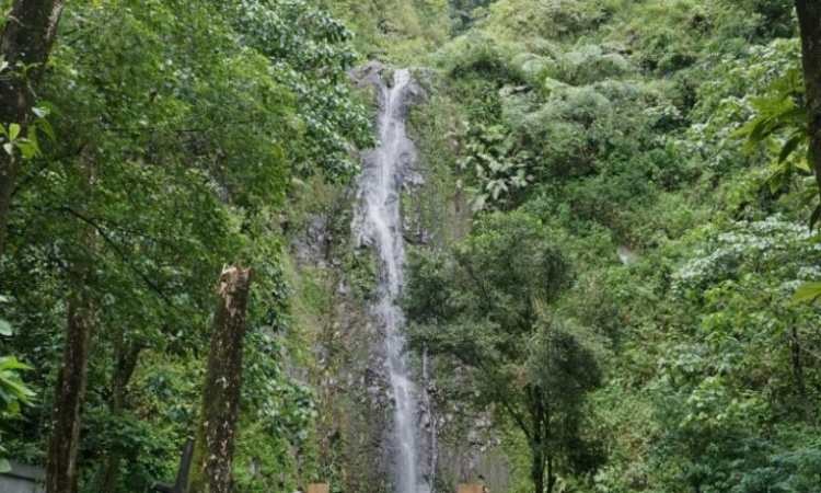 Air Terjun Tlogo Muncar, Sumber: tngmerapi.id