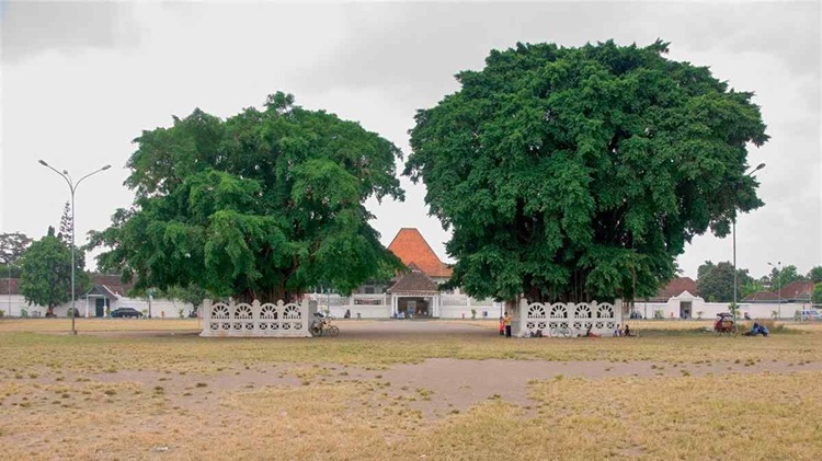 Alun alun kidul yogyakarta, Sumber: harapanrakyat.com
